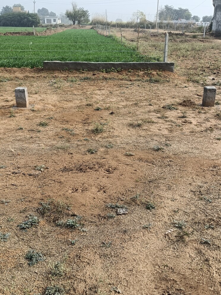 undefined, omega ii greater noida  80 Sq.Yd. Plot In Omega Ii Greater Noida Greater Noida 8015371