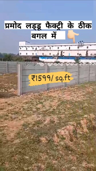 Plot For Resale in Taj Colony Gaya  8015754