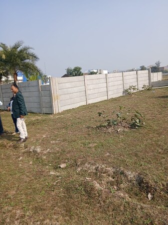 Plot For Resale in Taj Colony Gaya  8015754