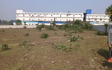 Plot For Sale in Bisar Talab