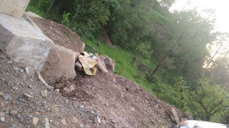 Plot For Resale in Ramshehar Solan  8015909