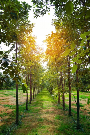  Plot – Garden View at Boduppal - for Sale