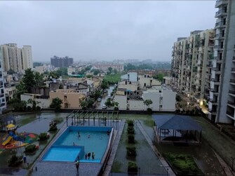 2 BHK Apartment For Rent in Krish Aura Alwar Bypass Road Bhiwadi  8016097