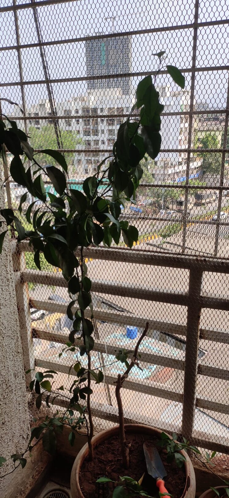 Balcony, vardhaman-park 1 Bedroom 663 Sq.Ft. Apartment In Shahad Thane 8016149