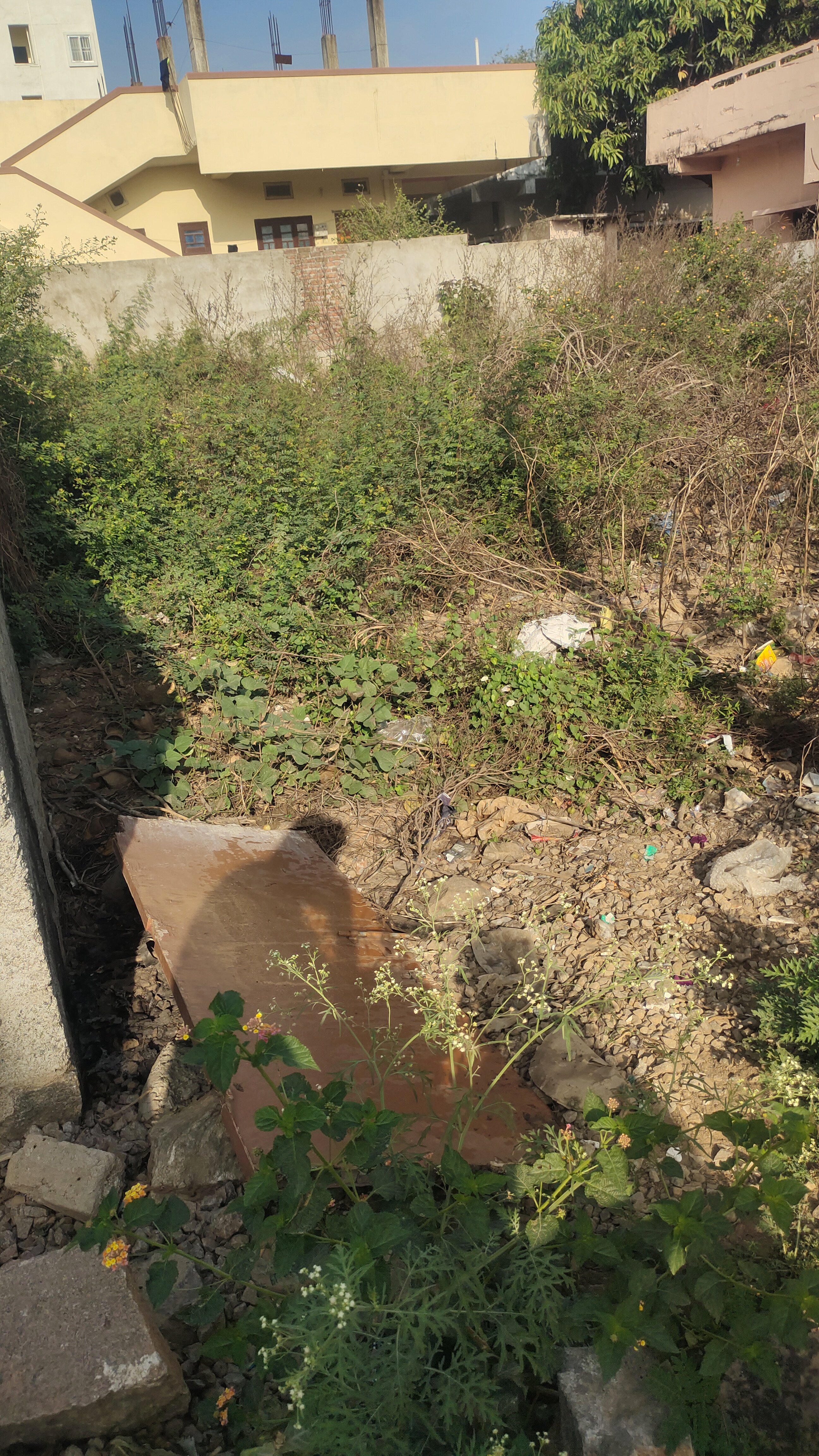 Plot For Sale in Hanuman Real Estate's 