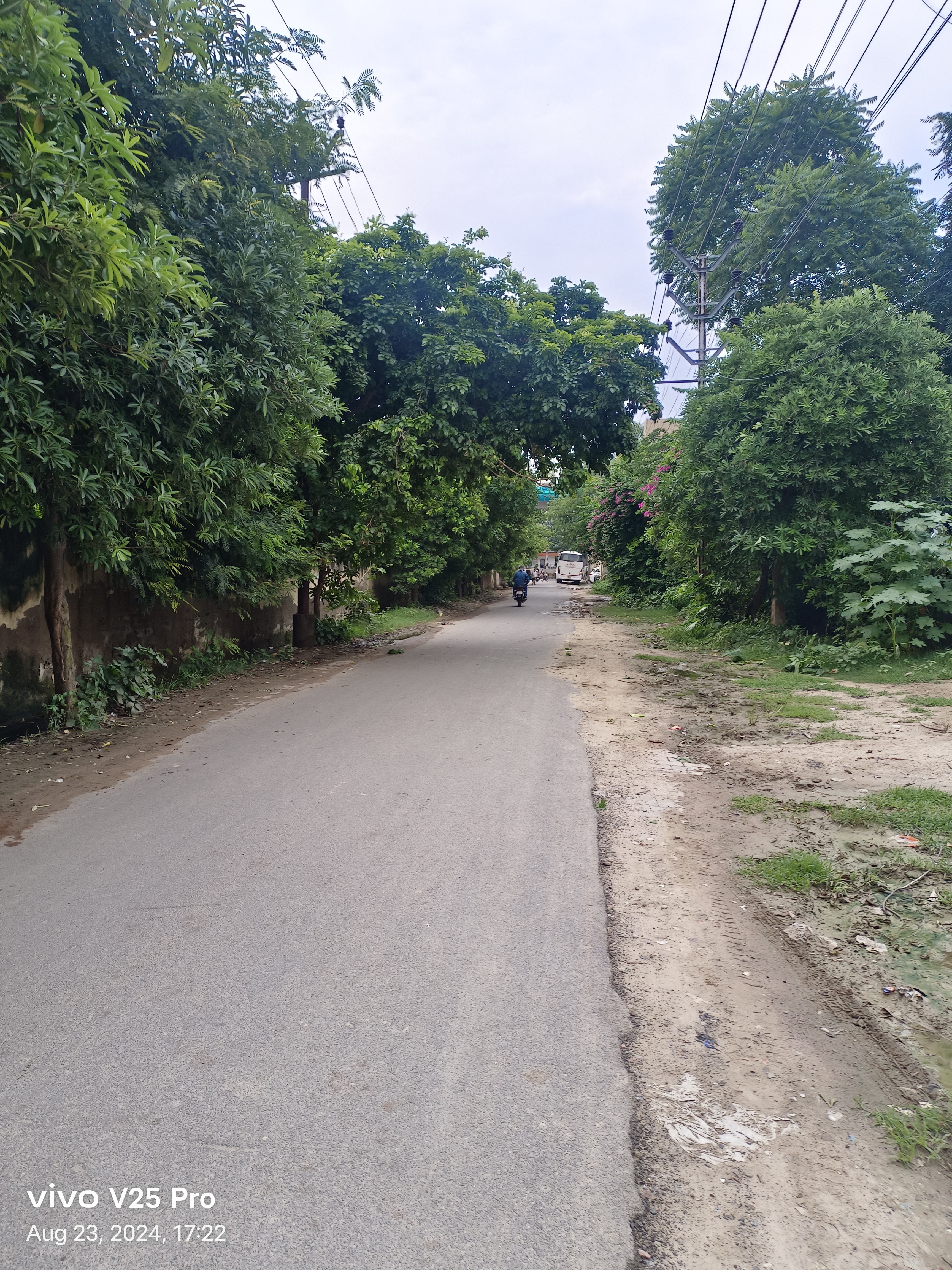 4 BHK + Pooja Room,Extra Room Independent House For Sale in Dayal Bagh