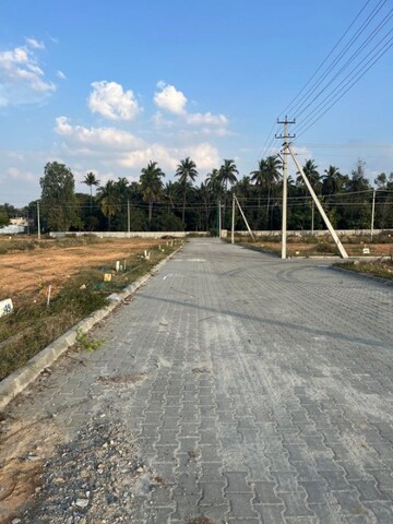 Plot Area in  Plot at Dodda Aalada Mara Road – for Sale