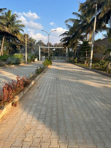  Plot – Exterior View View at Dodda Aalada Mara Road - for Sale