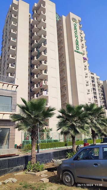 2 BHK Apartment For Rent in Signature Orchard Avenue 2, Sector 93