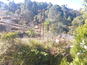  Plot – Garden View at Bhowali - for Sale