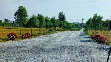  Plot – Exterior View View at Denkanikotta rd - for Sale