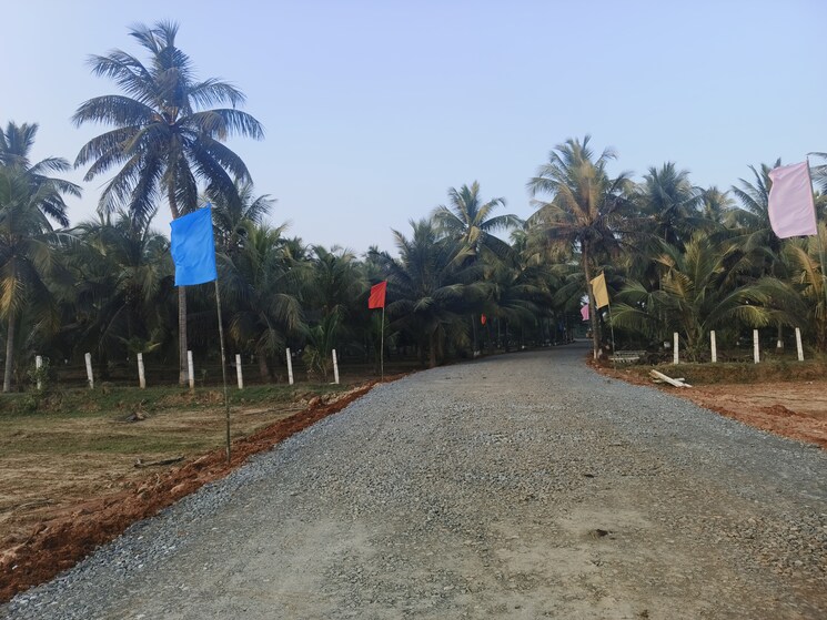 Exterior View, bhogapuram  200 Sq.Yd. Plot In Bhogapuram Vizag 8016792