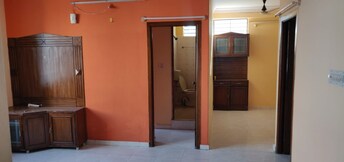 2 BHK Apartment For Rent in Ejipura Bangalore  8016821