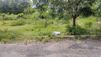 Plot For Resale in North Fortune Heights Kowkoor Hyderabad  8016855