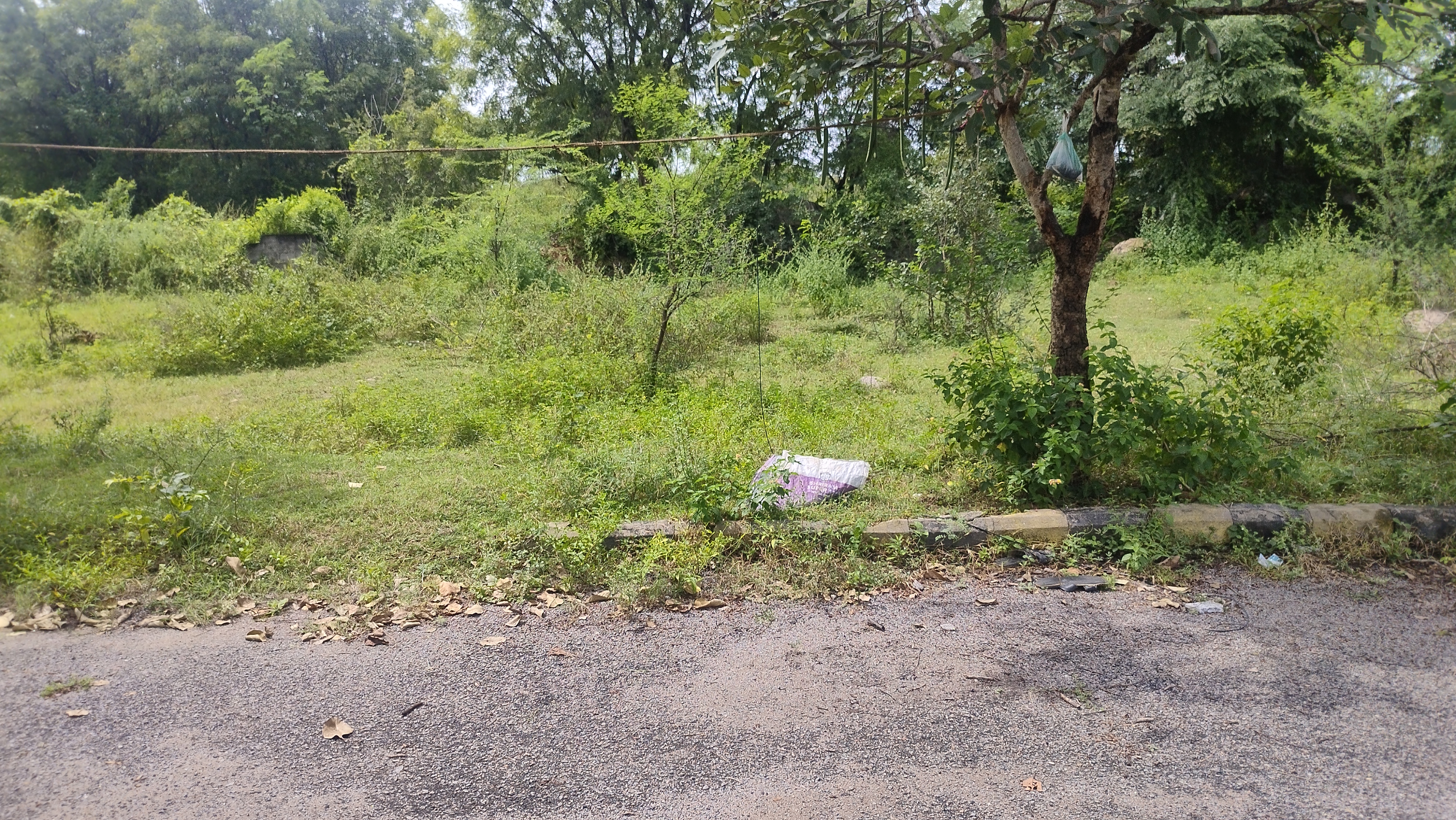 Plot For Sale in North Fortune Heights