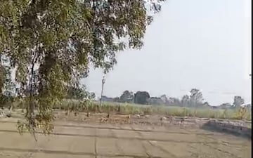 Plot For Sale in Dream City Meerut, Daurli