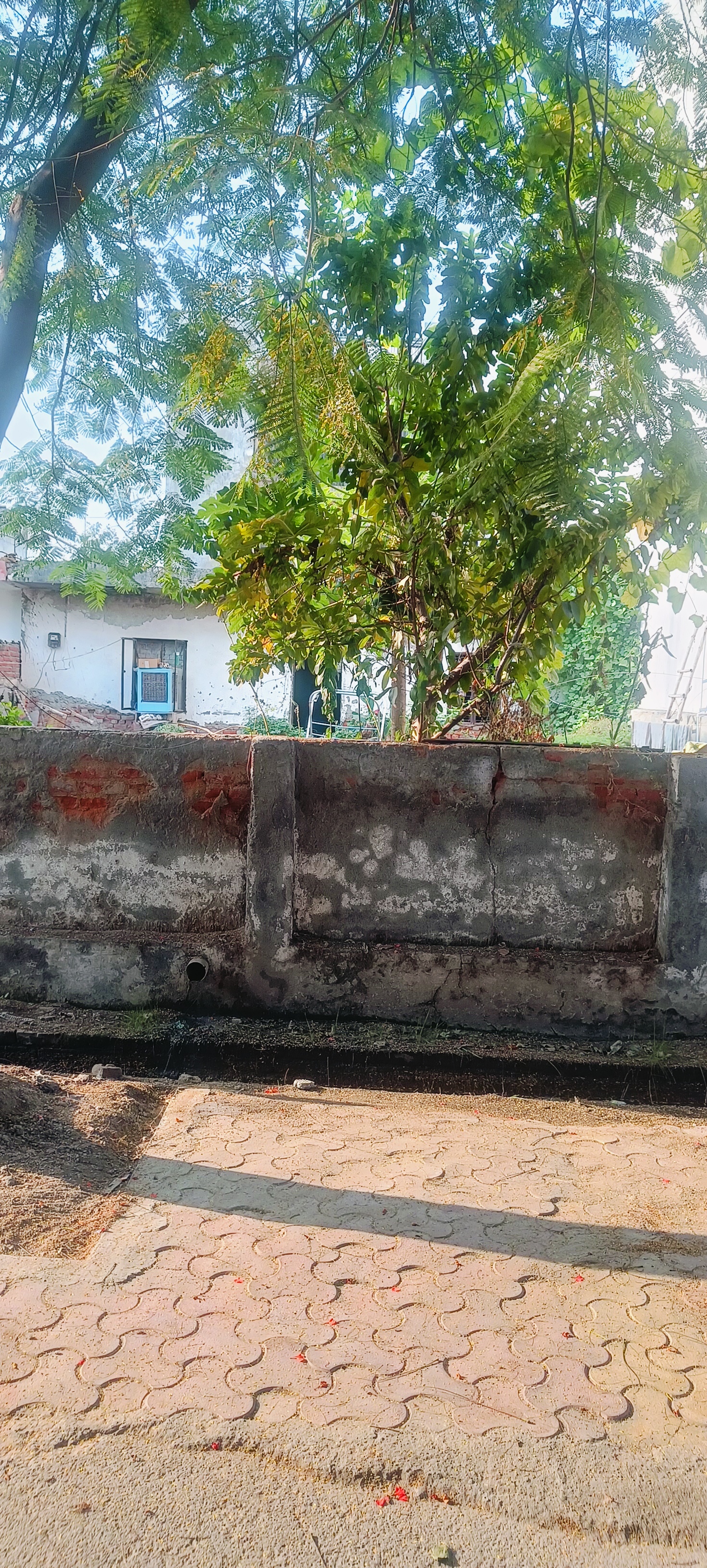 Plot For Sale in RWA Apartments Sector 108