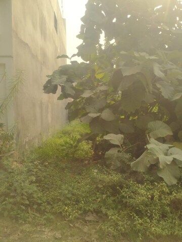  Plot For Sale in Wazirganj