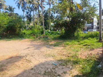 Plot Area in  Plot at Peroorkada – for Sale