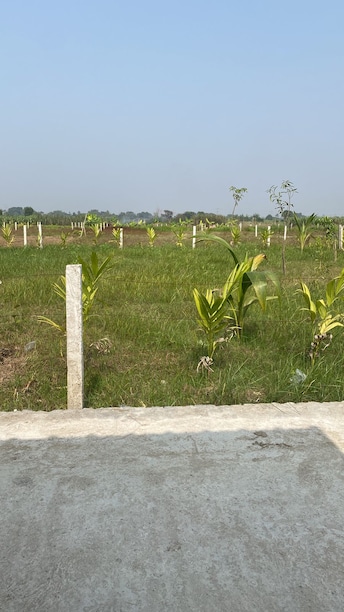 Plot For Resale in Kalyani Kolkata  8016018