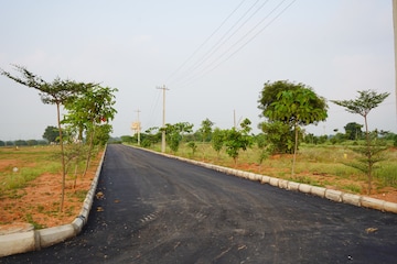 Plot Area in  Land at Nimz County, Kamkole – for Sale
