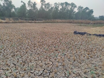  Plot For Sale in Panvel