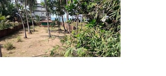 Plot For Resale in Malvan Sindhudurg  8017661