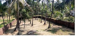 Plot For Resale in Malvan Sindhudurg  8017661