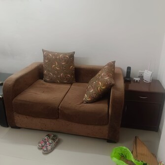 2 BHK Apartment For Rent in Navrangpura Ahmedabad  8017694