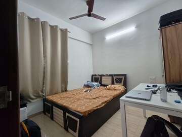 1 BHK Apartment For Rent in VTP Leonara, Mahalunge