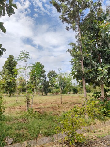 Plot Area in  Plot at Kanakapura Road – for Sale