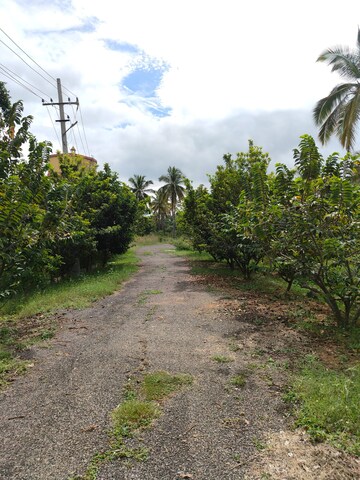  Plot – Exterior View View at Kanakapura Road - for Sale