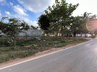 Plot For Resale in Yadavanahalli Bangalore  8018687