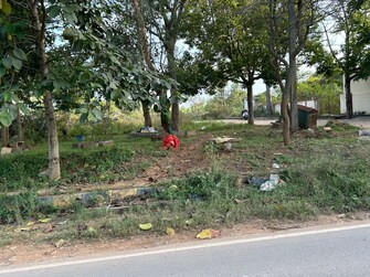 Plot For Resale in Yadavanahalli Bangalore  8018687