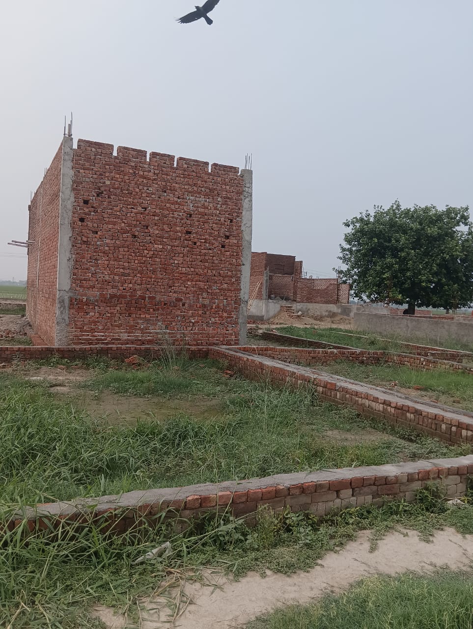Plot For Sale in Bhopani Greater Faridabad