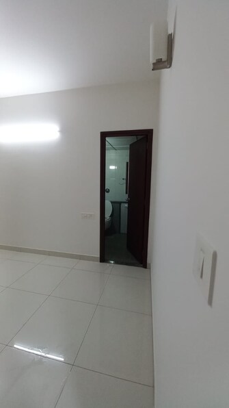 3 BHK Apartment For Rent in Puravankara Palm Beach Hennur Bangalore  8018767