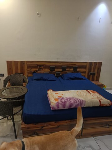 Bedroom in Studio Independent House at RWA Apartments Sector 52, Sector 52 – for Rent