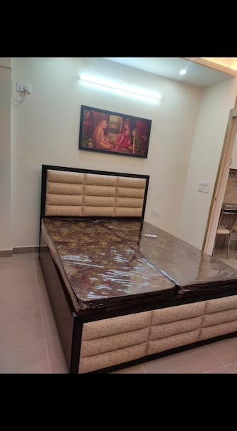 1.5 BHK Builder Floor For Rent in Sushant Lok 1 Sector 43 Gurgaon  8019472