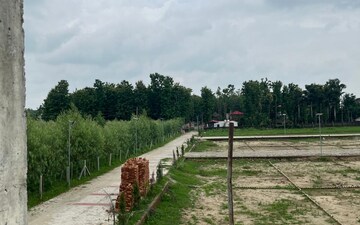 Plot For Sale in Bagodara