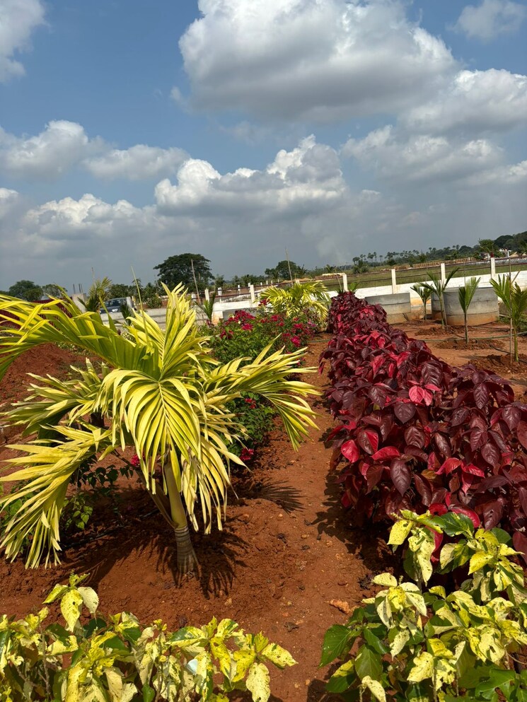 Exterior View, sri-bhumi-eeshaanya  350 Sq.Yd. Plot In Kankipadu Vijayawada 8019540