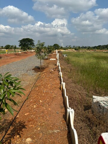 Plot Area in  Plot at Sri Bhumi Eeshaanya, Kankipadu – for Sale