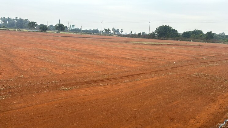 Exterior View, mangalagiri  184 Sq.Yd. Plot In Mangalagiri Vijayawada 8019637