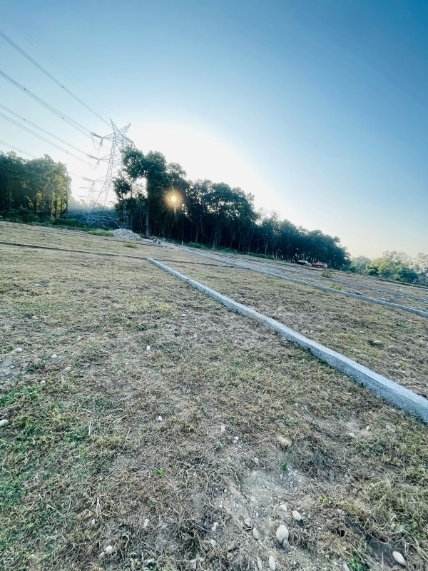 Plot For Sale in Badowala