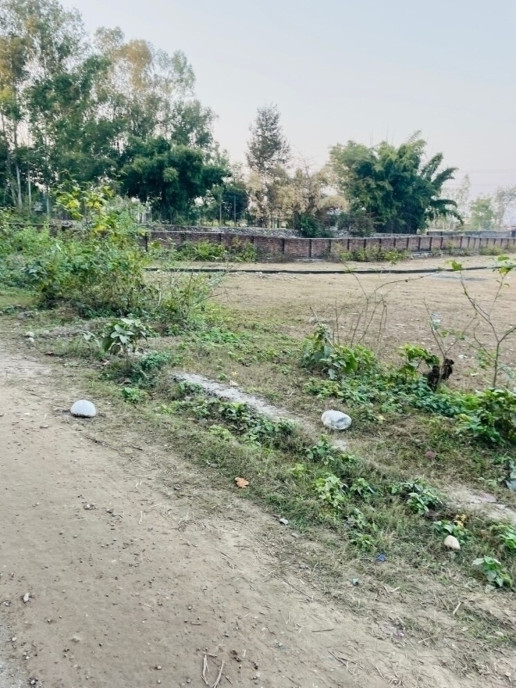 undefined, badowala  243 Sq.Yd. Plot In Badowala Dehradun 8019844