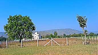 Plot For Resale in Kinathukadavu Coimbatore  8020177