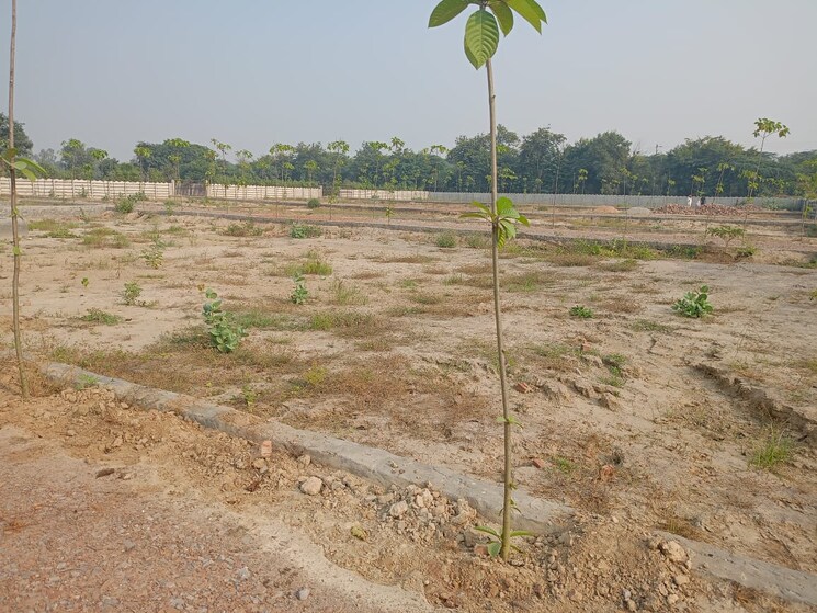 undefined, upsidc site b  100 Sq.Yd. Plot In Upsidc Site B Greater Noida 8020272