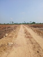 200 Sq.Yd. Plot in Mr Estates 