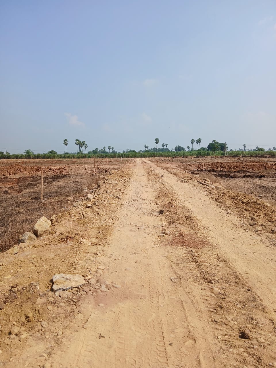 Plot For Sale in Mr Estates 