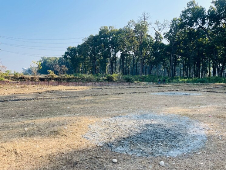 undefined, badowala  322 Sq.Yd. Plot In Badowala Dehradun 8020309