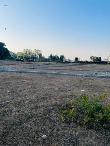 Plot Area in  Plot at Badowala – for Sale